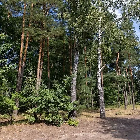 Вилла Modern 4 Bedroom Near Warsaw Parking/wifi/200m2