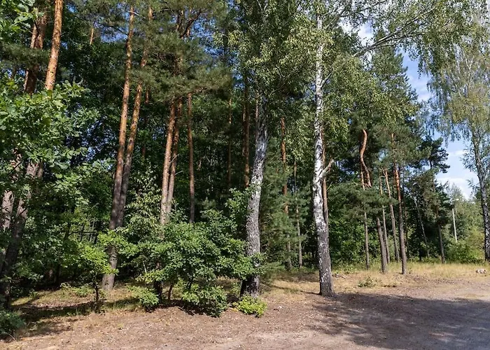 Вилла Modern 4 Bedroom Near Warsaw Parking/wifi/200m2